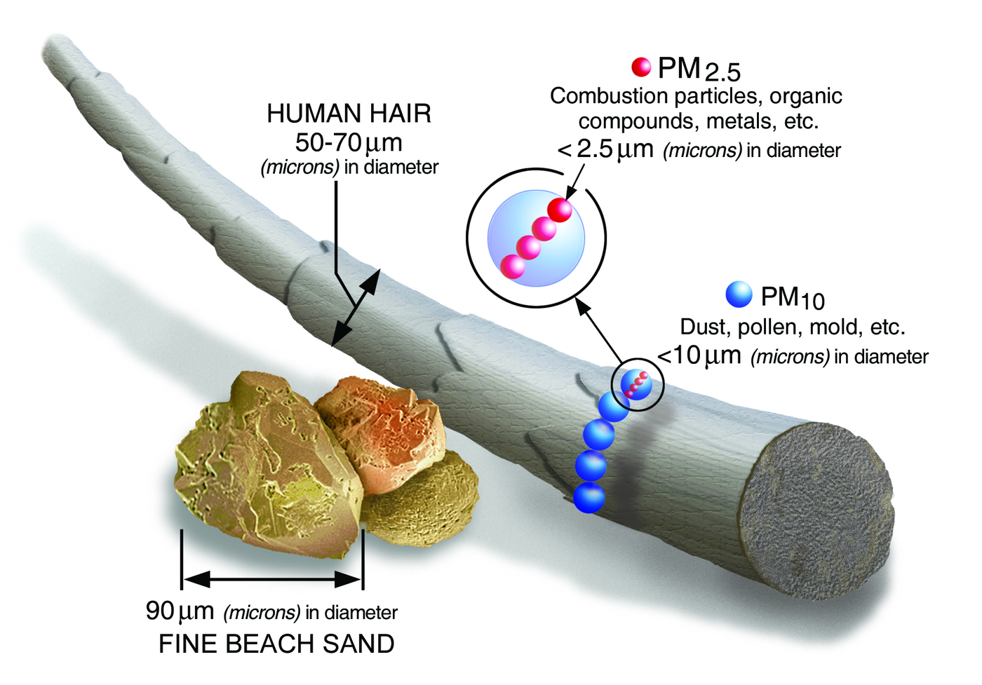 Particulate Matter: What is it?