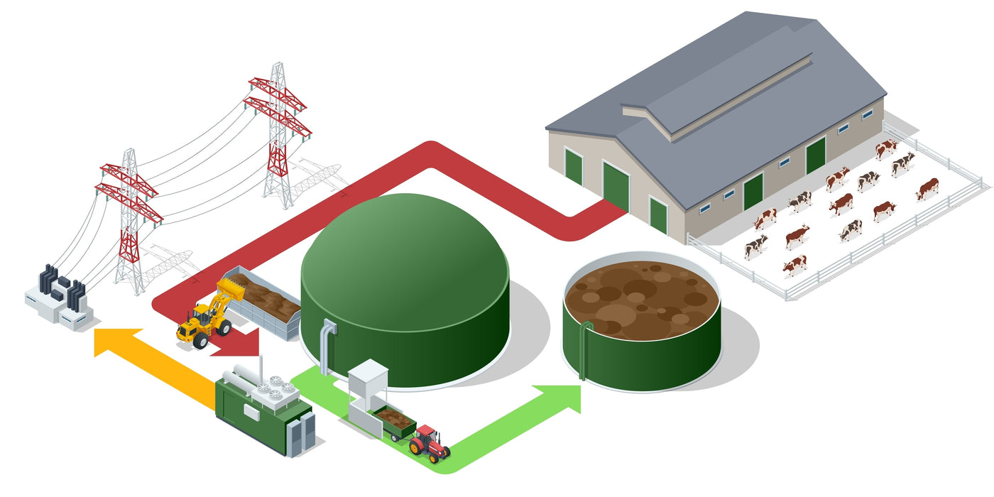 The Path to Biogas Expertise